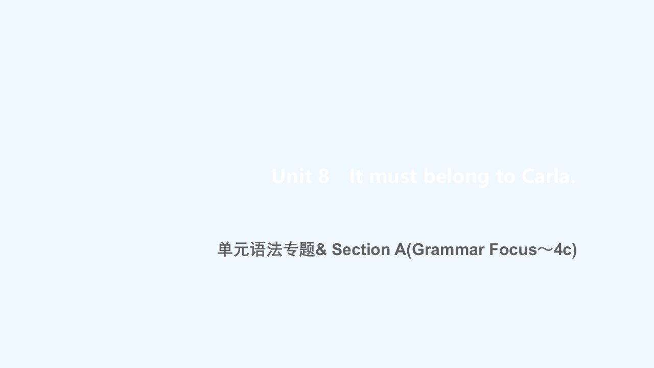 九年级英语全册Unit8ItmustbelongtoCarla单元语法专题SectionA(GrammarFocus