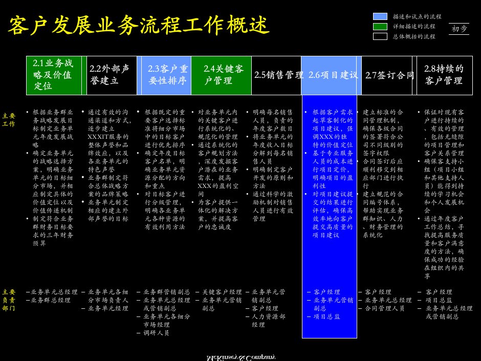 某咨询客户发展项目建议流程书