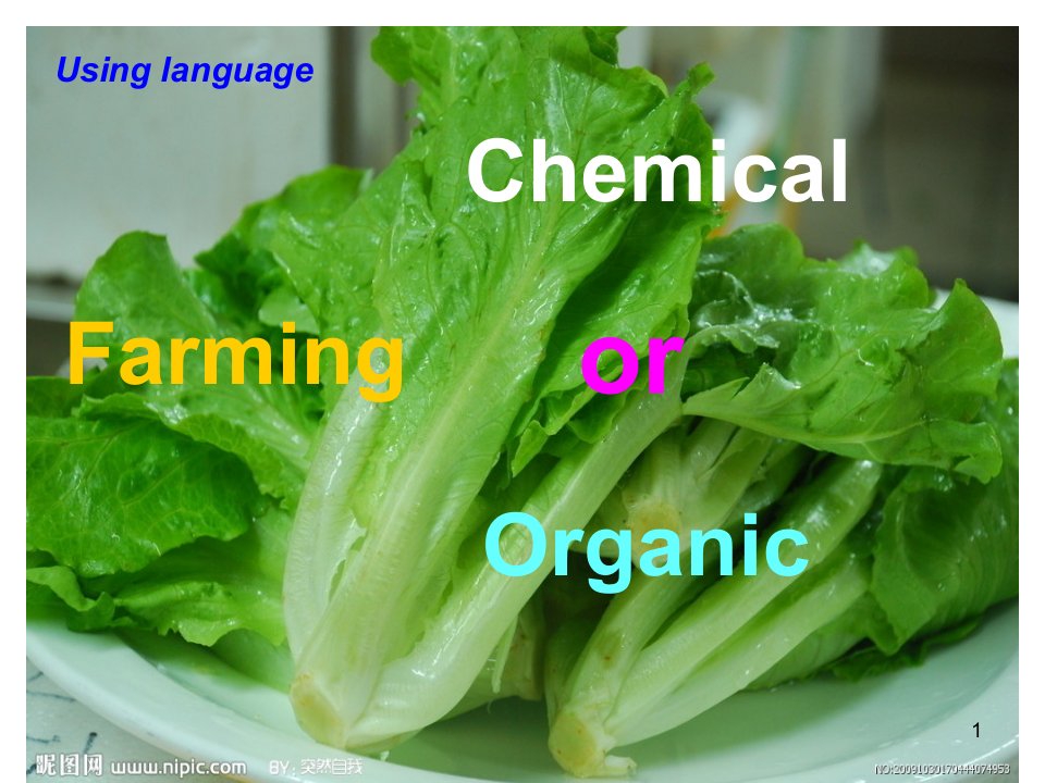 高一英语人教版必修4-unit2-using-languageppt课件