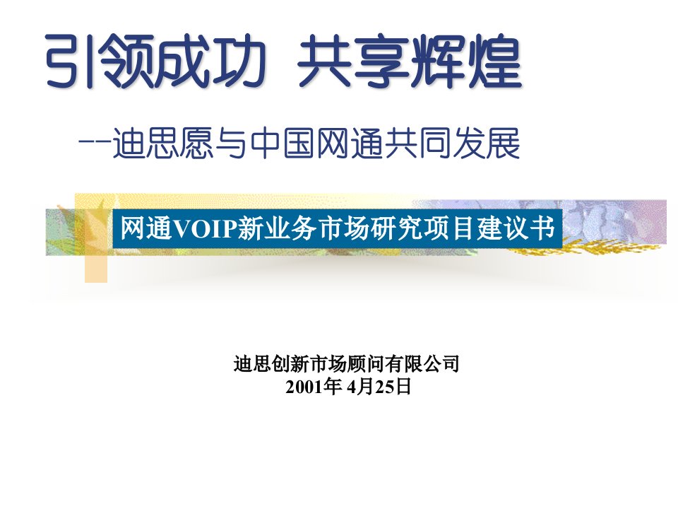 500中国网通公共传播项目策划