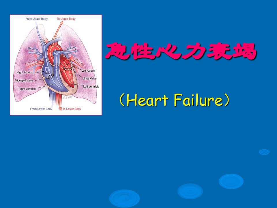 急性心衰PPT课件