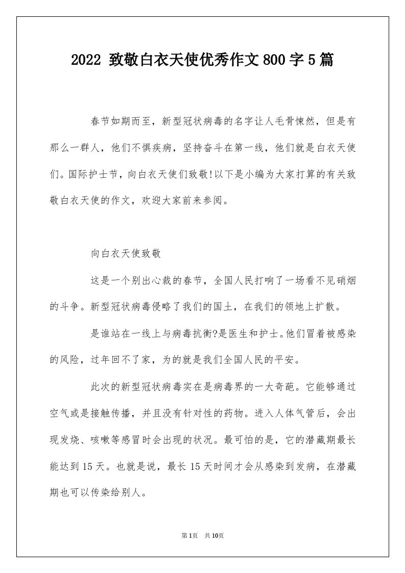 2022致敬白衣天使优秀作文800字5篇