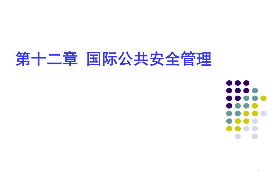 安全工程十二章国际公共安全管理