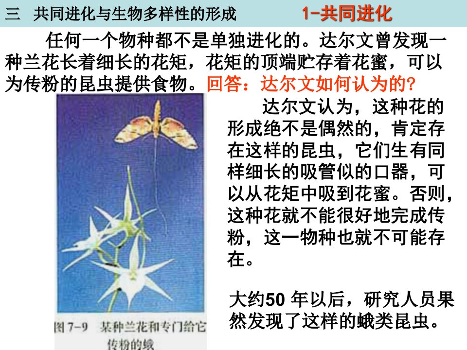 723共同进化与生物多样性的形成课件