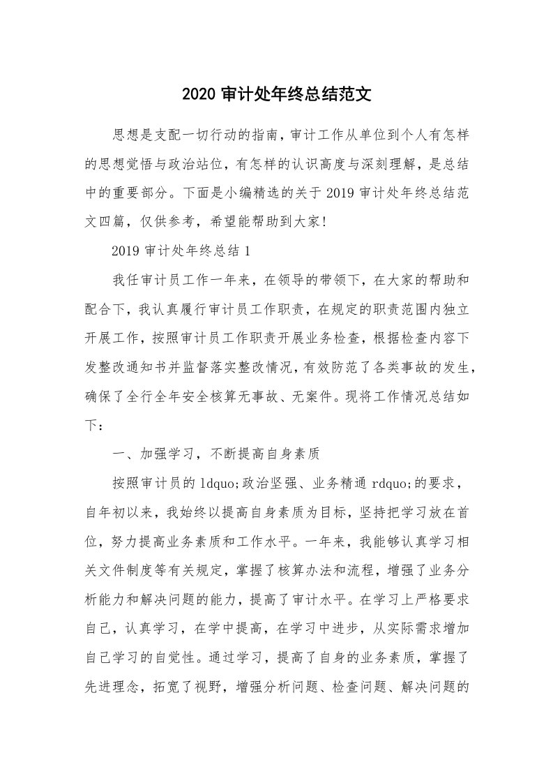 工作总结_2020审计处年终总结范文