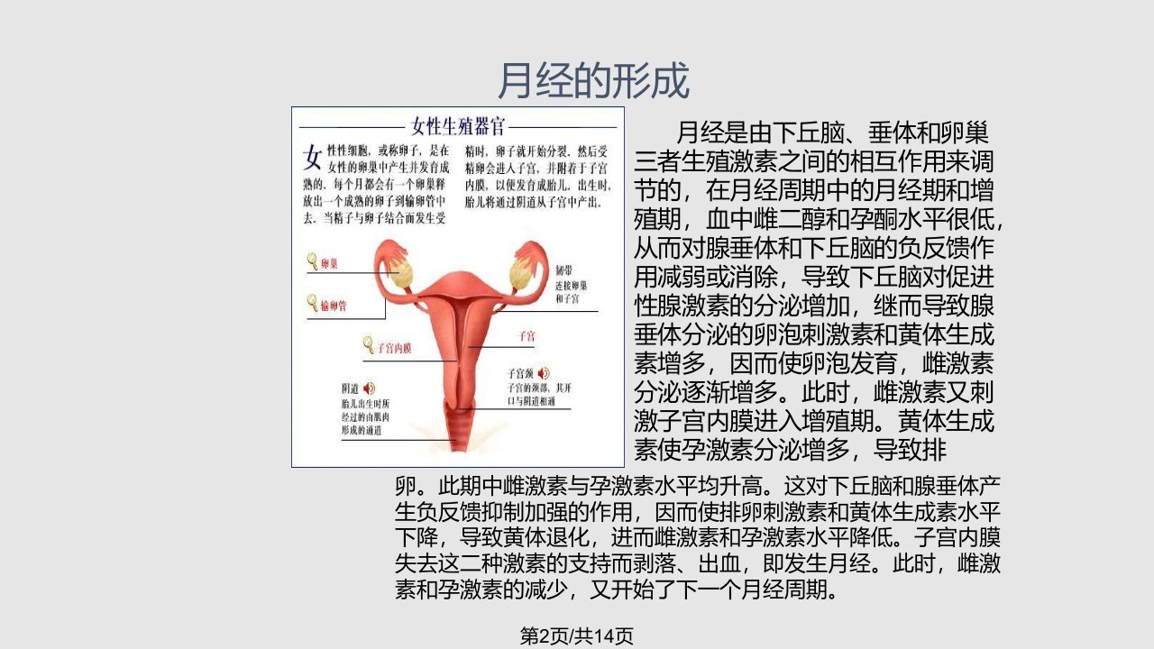 中西医治疗月经不调