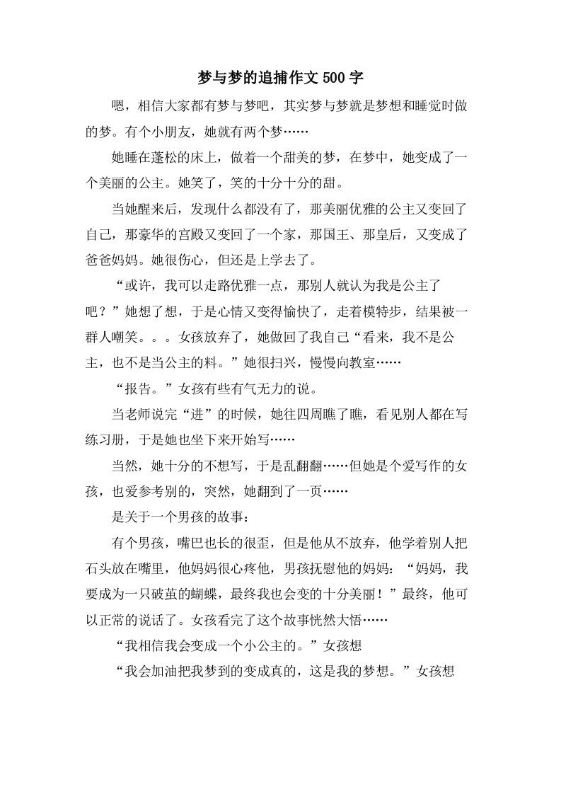 梦与梦的追捕作文500字