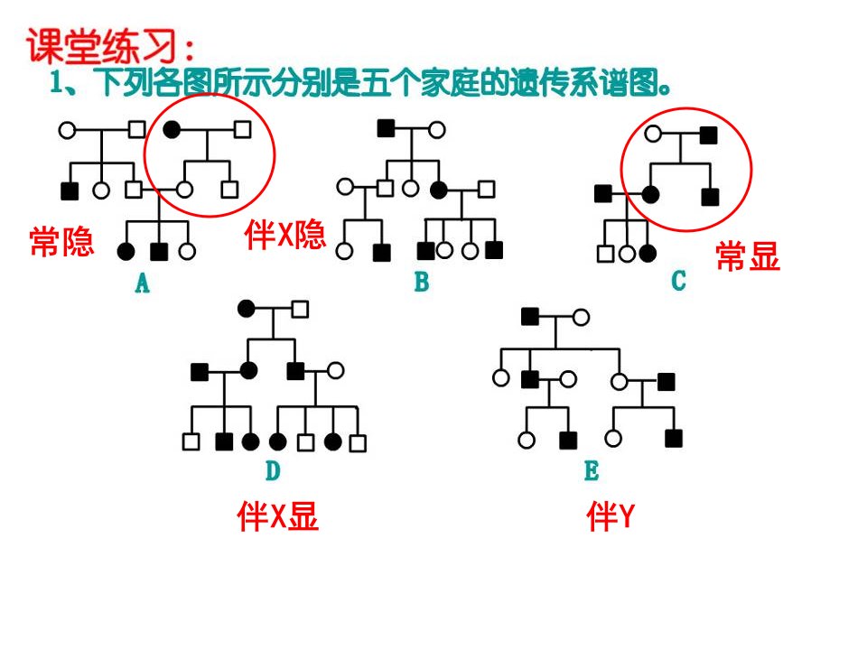 DNA分子结构