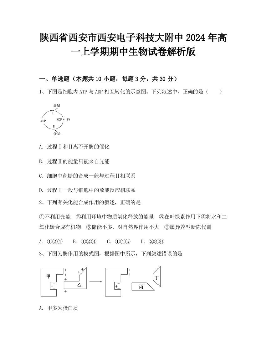 陕西省西安市西安电子科技大附中2024年高一上学期期中生物试卷解析版