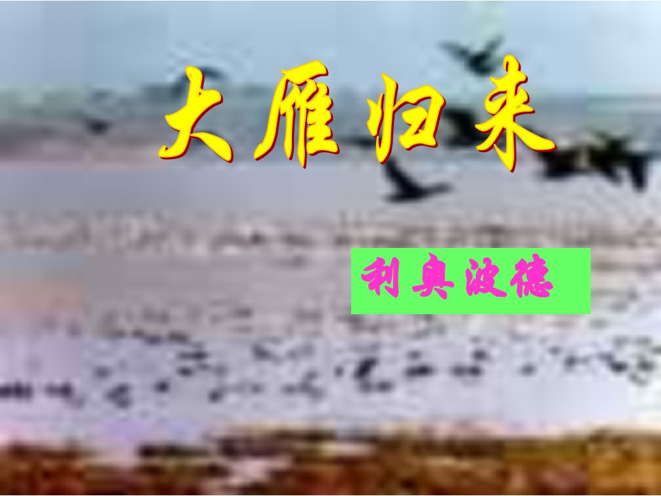 《大雁归来》