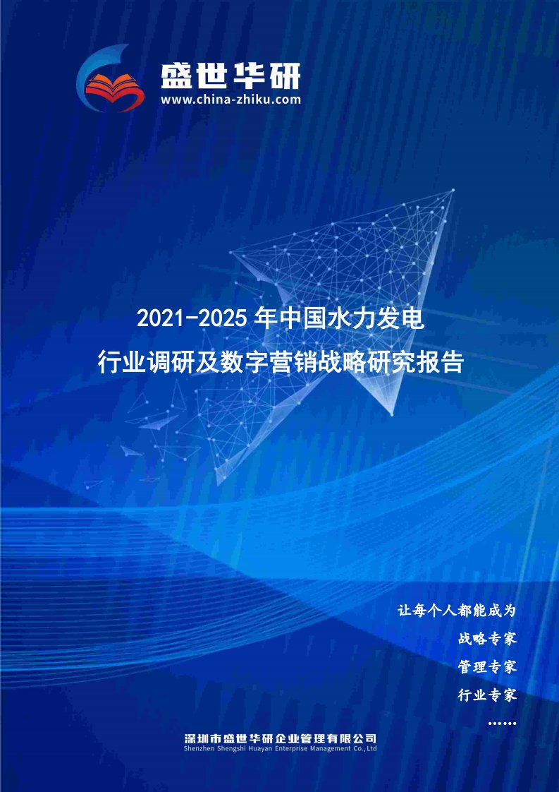 2021-2025年中国水力发电行业调研及数字营销战略研究报告