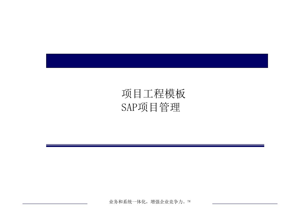 SAP项目管理-项目工程模板