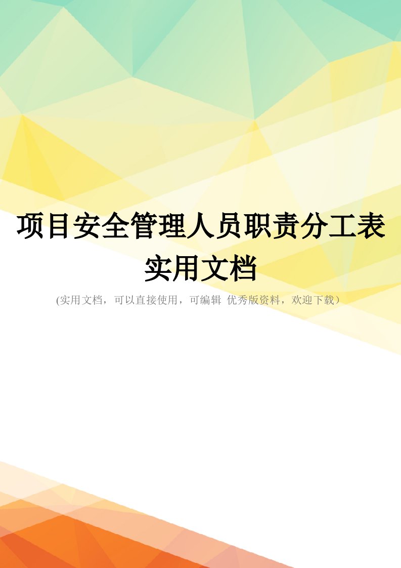 项目安全管理人员职责分工表实用文档