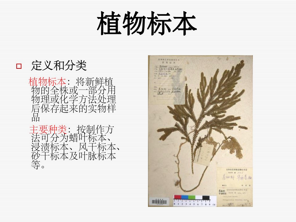 《植物标本制作》PPT课件