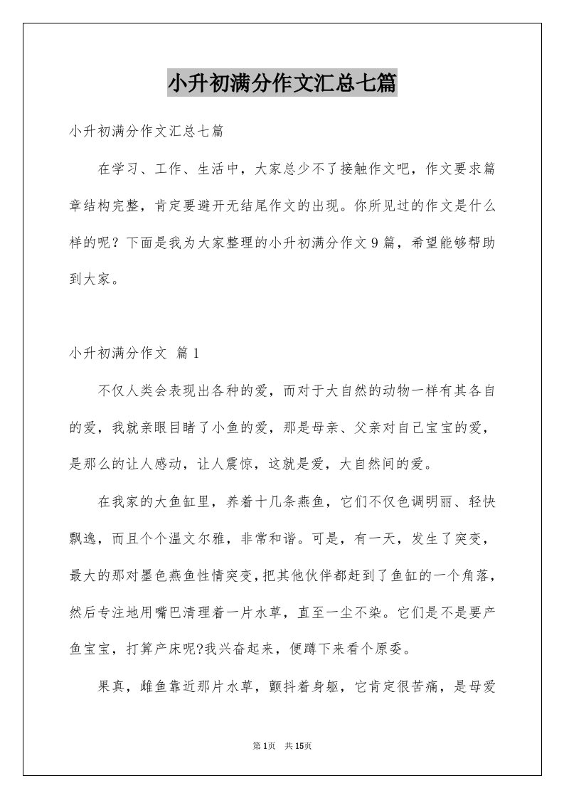 小升初满分作文汇总七篇范文