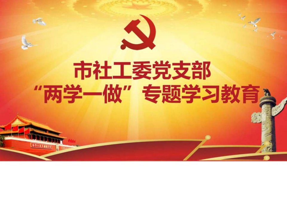 市社工委两学一做学习教育党课课件文库.ppt