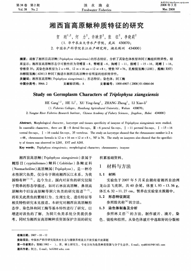 湘西盲高原鳅种质特征的研究.pdf