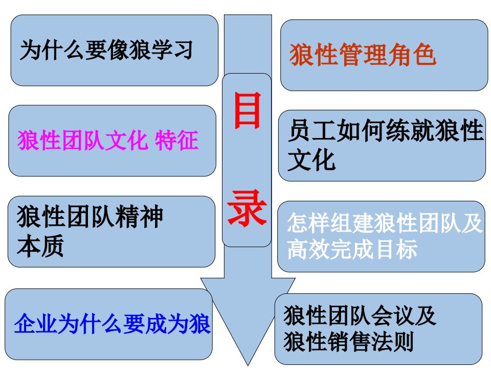 打造狼性团队PPT47页