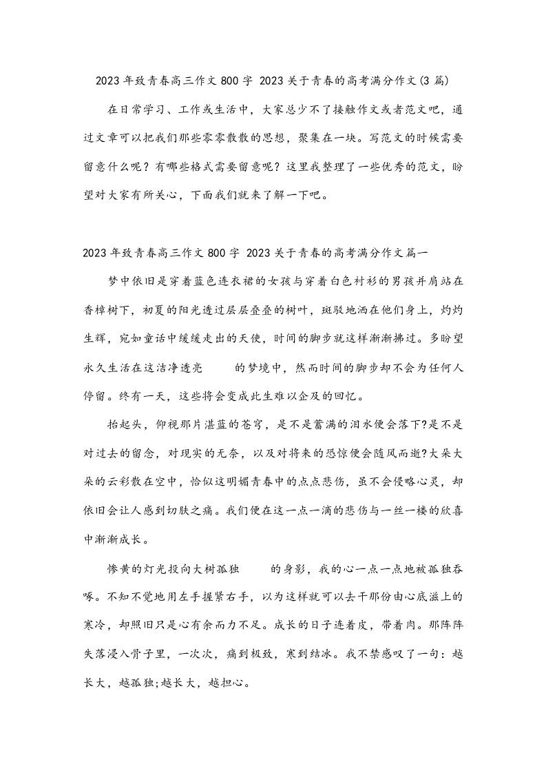 2023年致青春高三作文800字