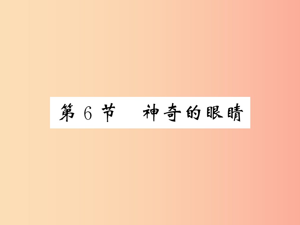 2019秋八年级物理上册