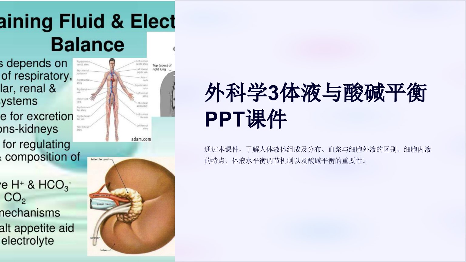 外科学3体液与酸碱平衡课件