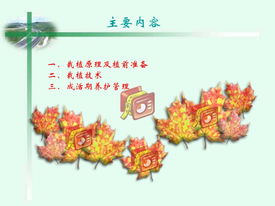 园林树木栽植与养护