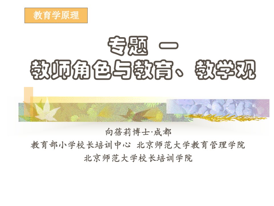 专题一蓓莉教师角色与教育教学观