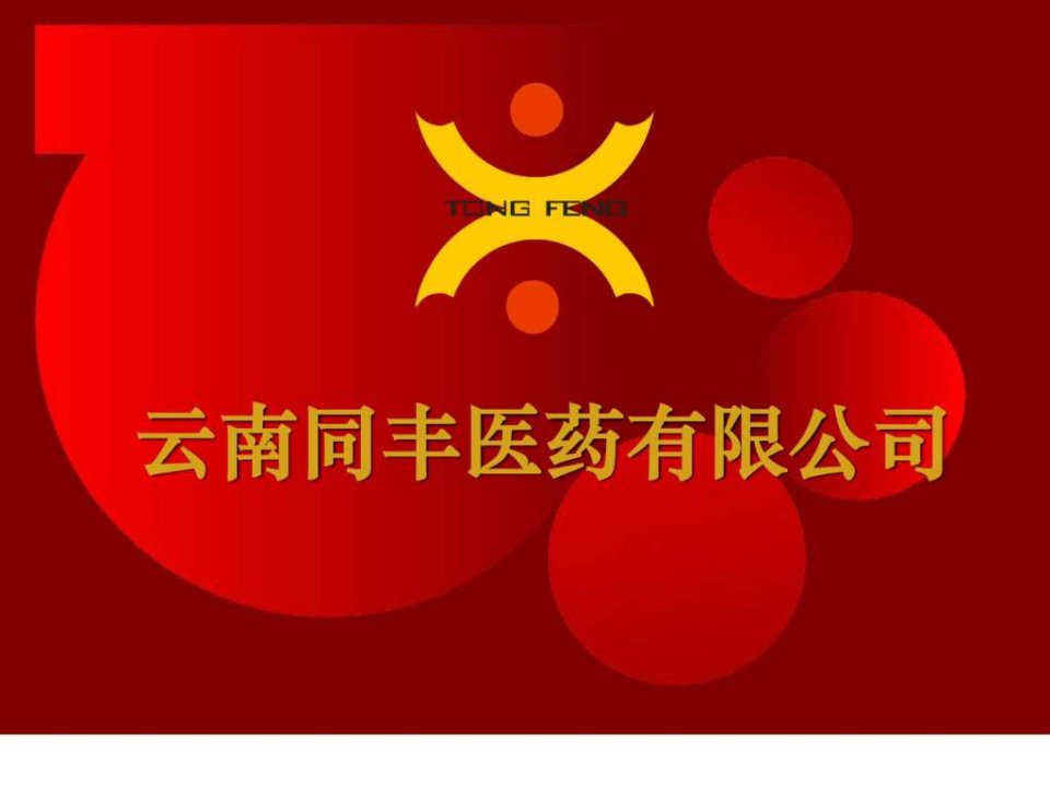 云南同丰医药有限公司.ppt