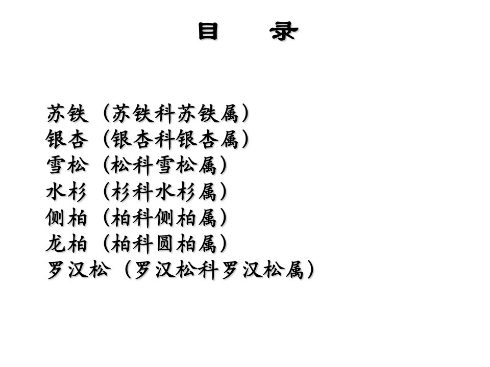 校园常见裸子植物图谱