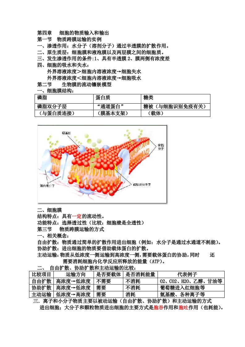 高一生物必修一(第四章知识点和习题)（2）