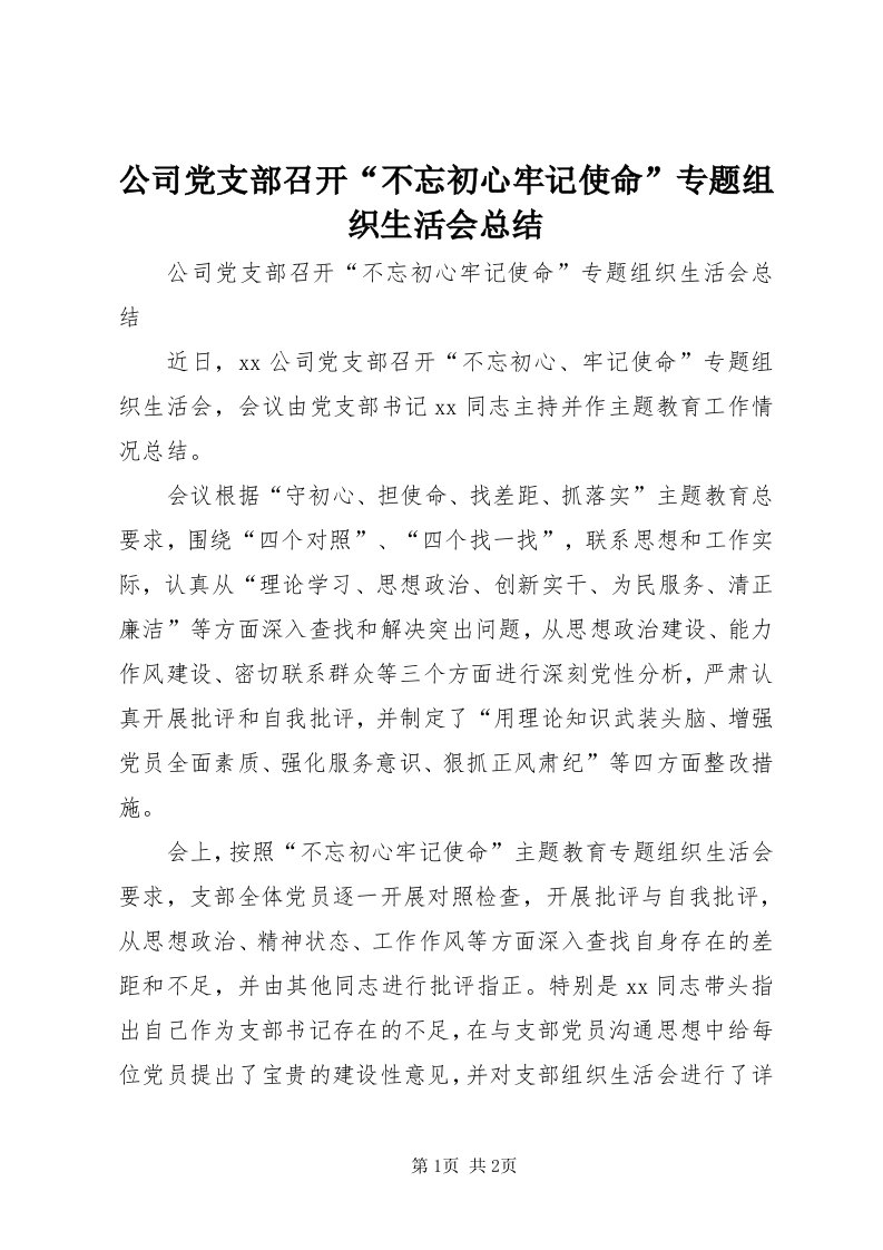 公司党支部召开“不忘初心牢记使命”专题组织生活会总结