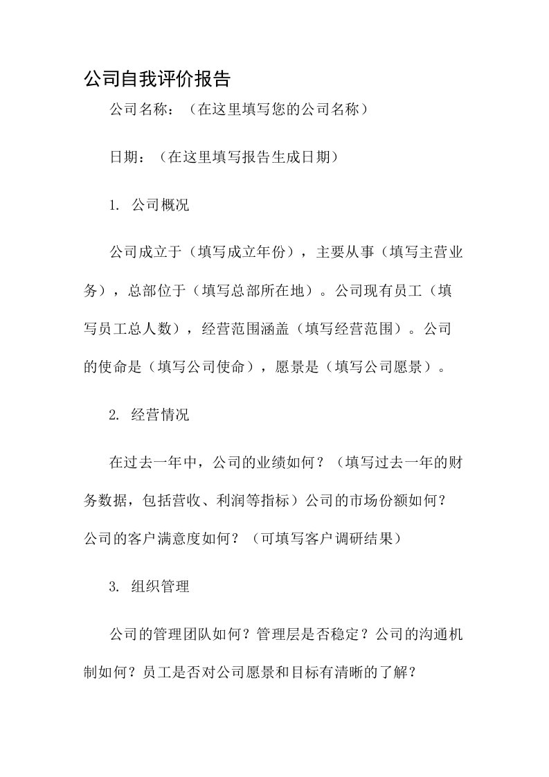 公司自我评价报告