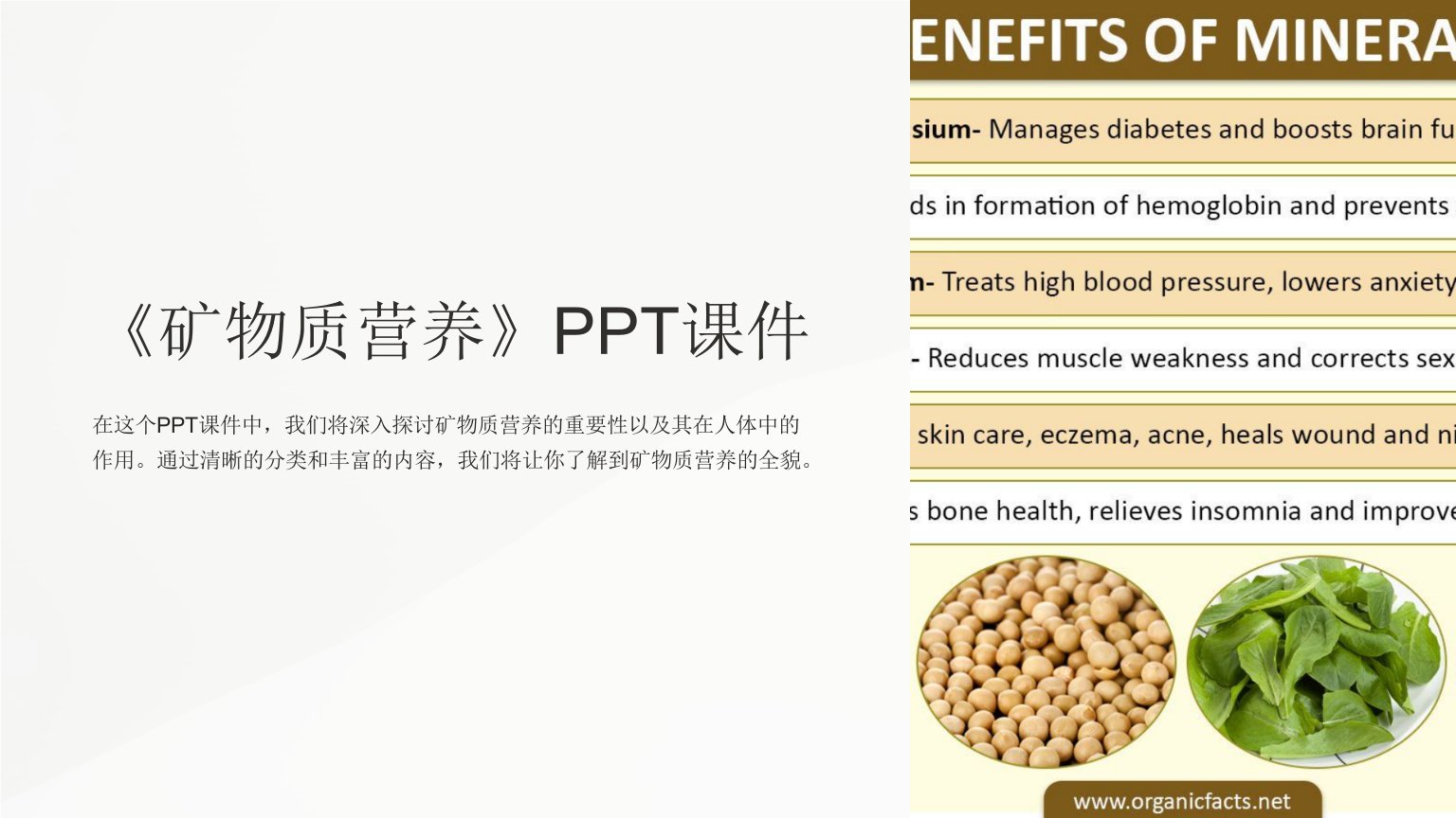 《矿物质营养》课件