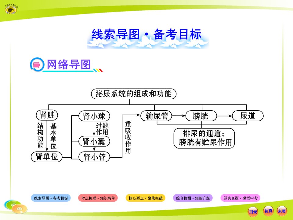 人教版初中生物中考复习七下第四单元人体内废物的排出