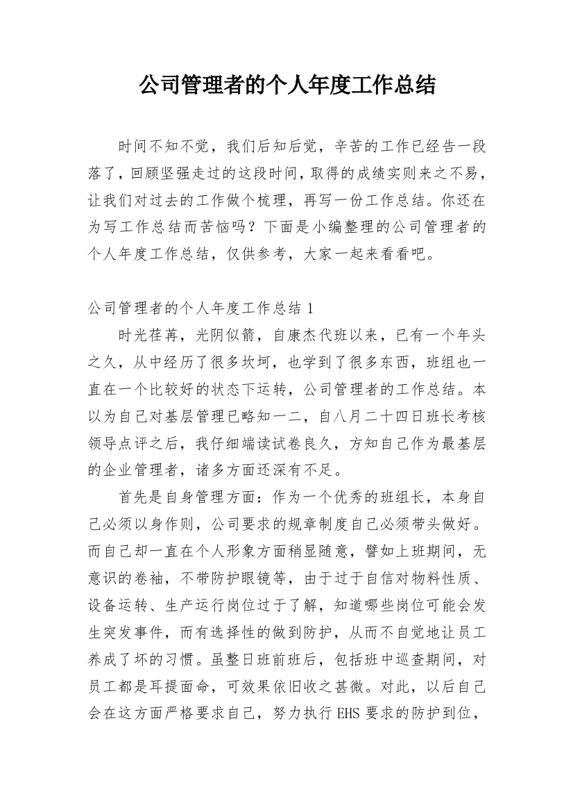 公司管理者的个人年度工作总结_1