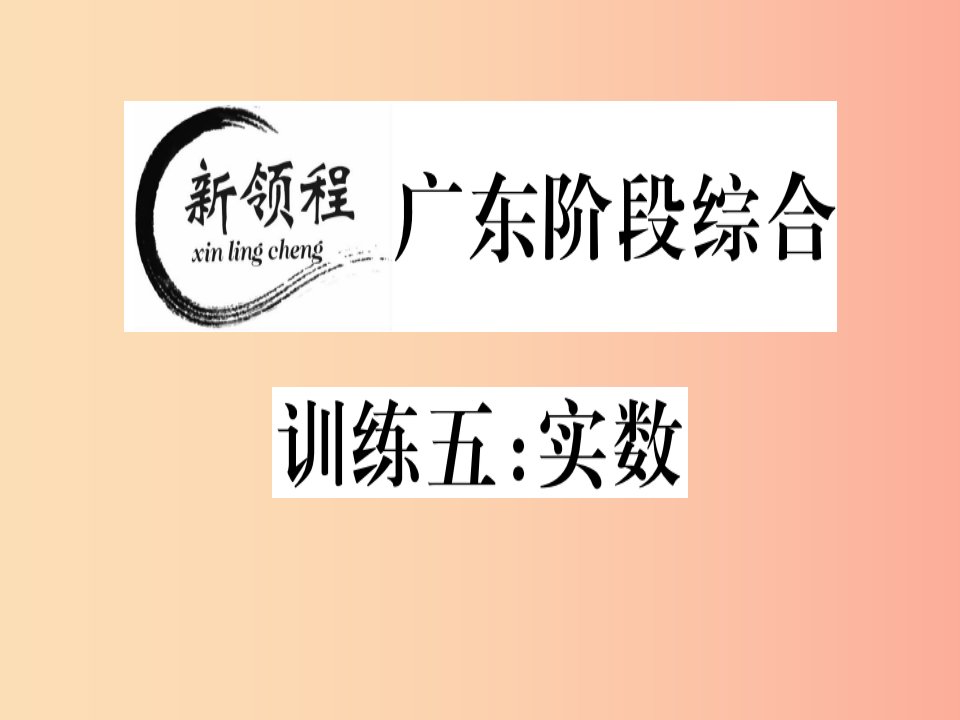 广东专版八年级数学上册阶段综合训练五实数习题讲评课件（新版）北师大版