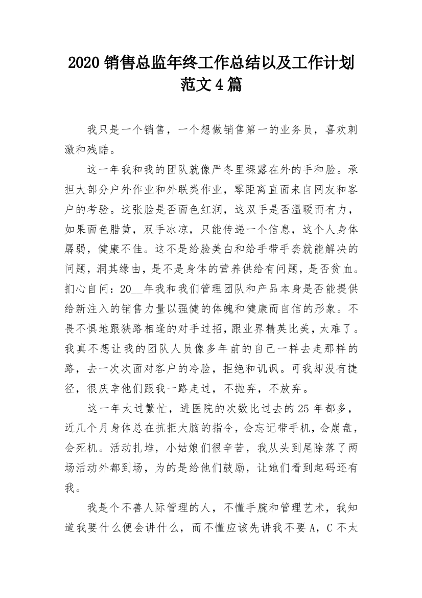 2020销售总监年终工作总结以及工作计划范文4篇