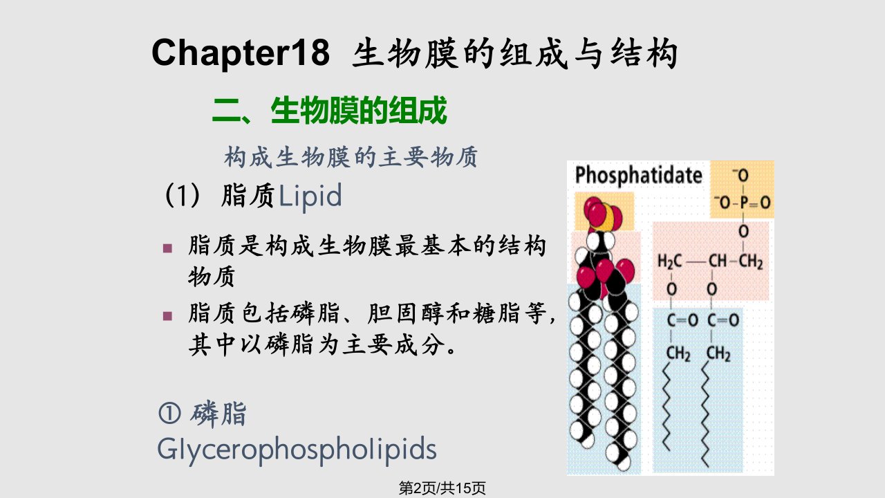 王镜岩生化件生物膜的组成与结构