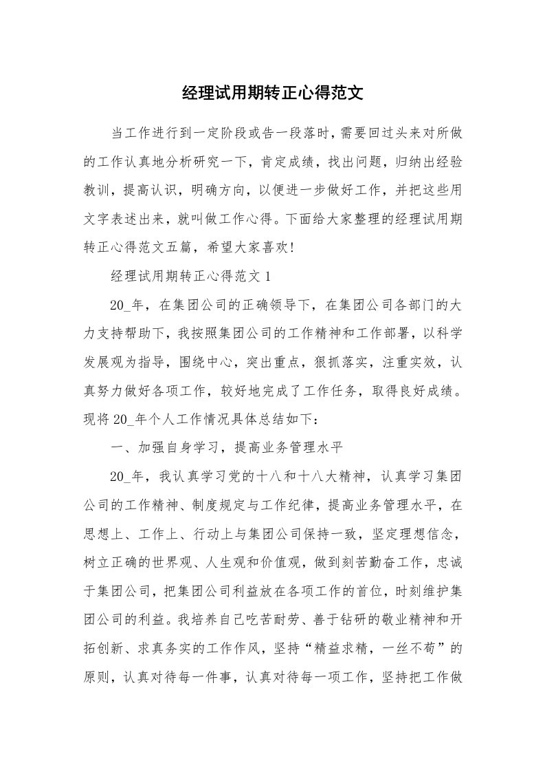 工作心得_经理试用期转正心得范文