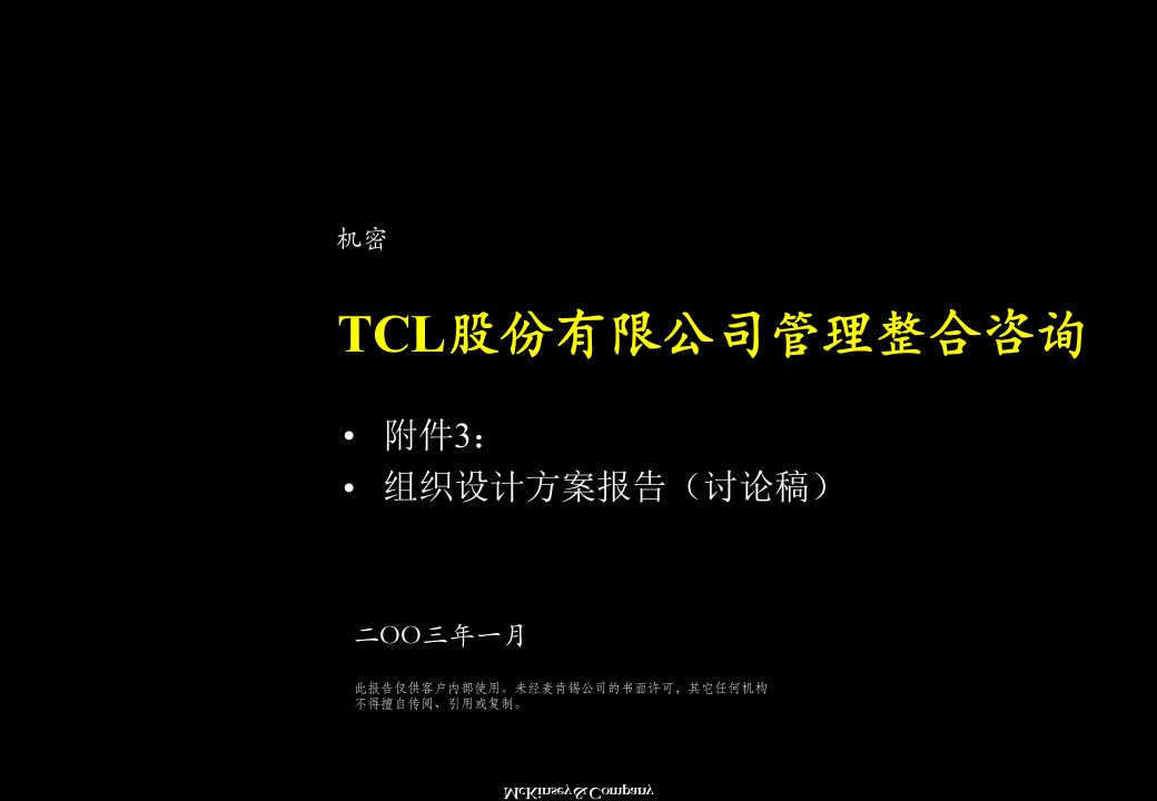 TCL股份有限公司某咨询组织结构设计