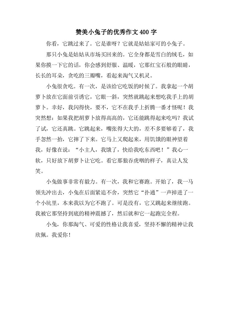 赞美小兔子的作文400字