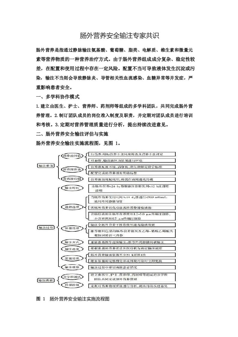 肠外营养安全输注专家共识(2022版)