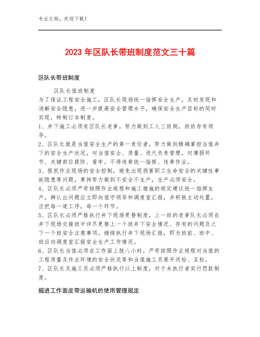 2023年区队长带班制度范文三十篇