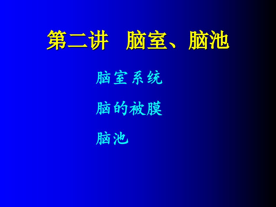 脑池的断面解剖图