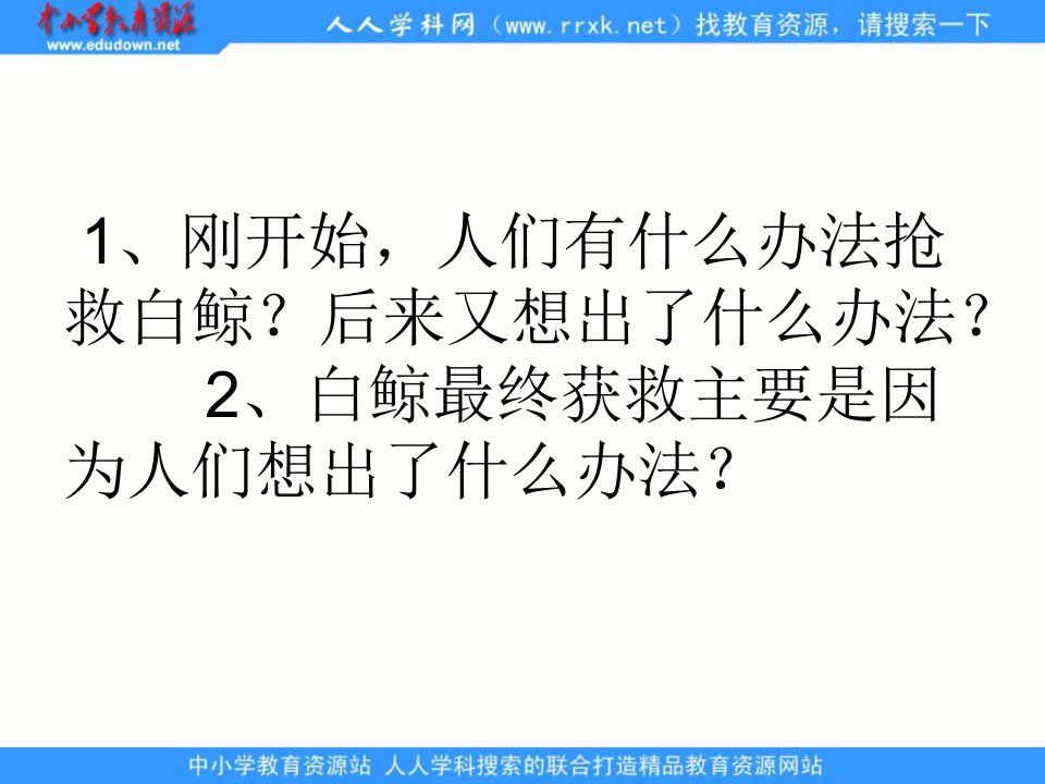 最新喜爱音乐的白鲸精品课件