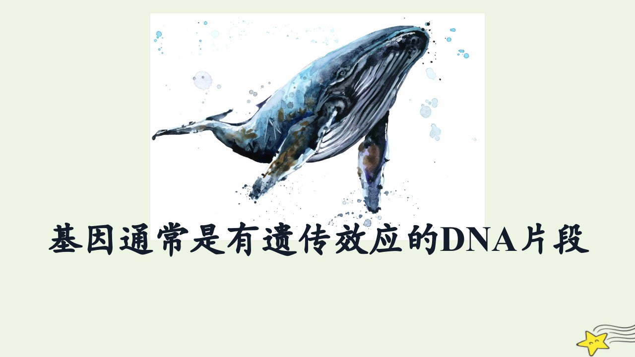 2023新教材高中生物3.4基因通常是有遗传效应的DNA片段同步备课课件新人教版必修2