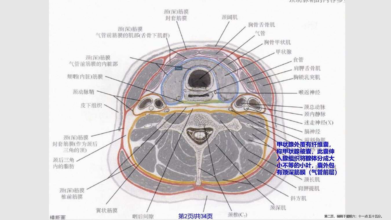 pbl最终学习教程