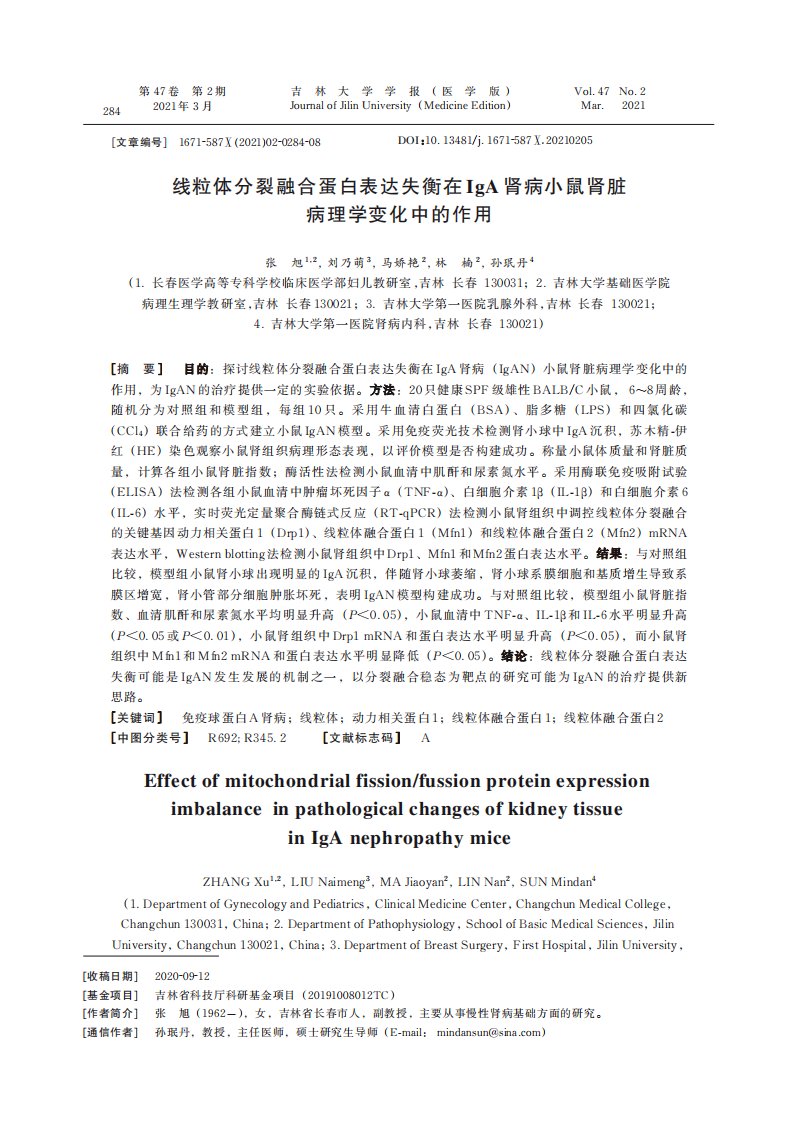 线粒体分裂融合蛋白表达失衡在IgA肾病小鼠肾脏病理学变化中的作用