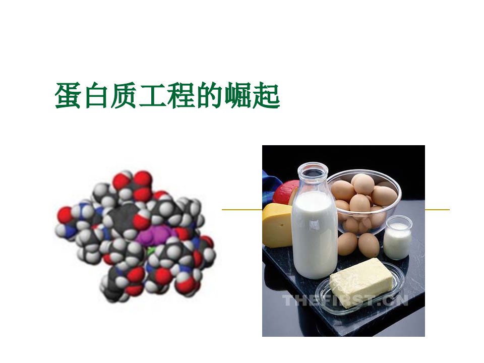 蛋白质工程的崛起(上课用)