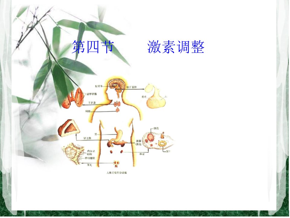 新人教版生物七年级下册激素调节市公开课获奖课件省名师示范课获奖课件